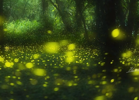 �����þ�����Ʒ�������´���